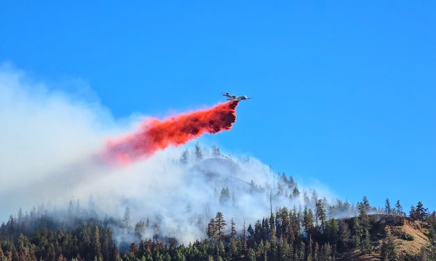 Princeton’s August Lake Wildfire now ‘Being Held’