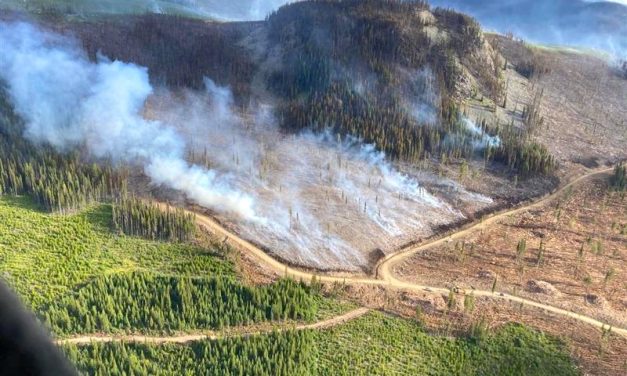 Weather cuts some slack in Placer Creek wildfire fight
