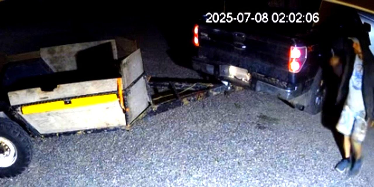 RCMP release details on carving theft