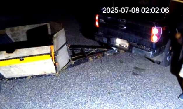 RCMP release details on carving theft