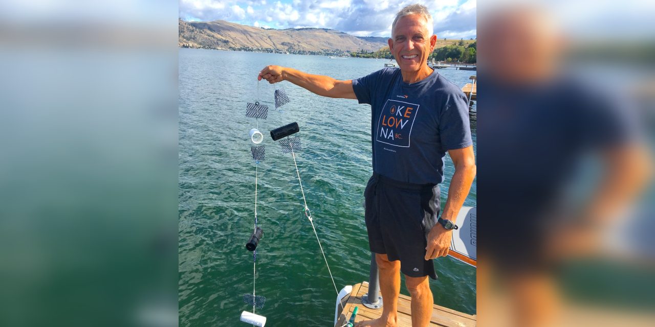 Dock owners enlisted for invasive mussel defence