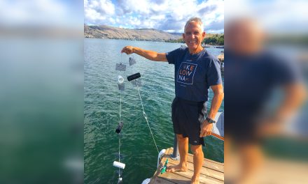 Dock owners enlisted for invasive mussel defence