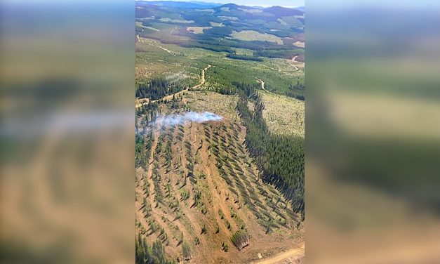 Wildfire northeast of Hedley now ‘under control’