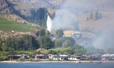 Fire near The Cottages brought to heel
