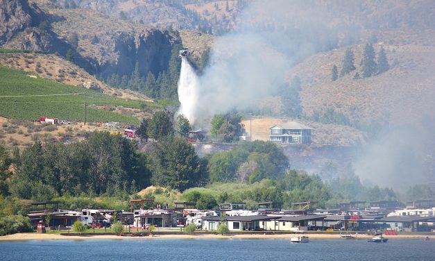 Fire near The Cottages brought to heel
