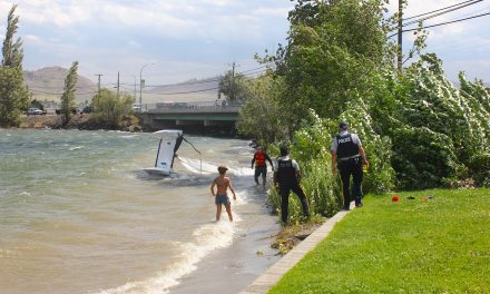 Wind gusts up to 90 km/h wreak havoc