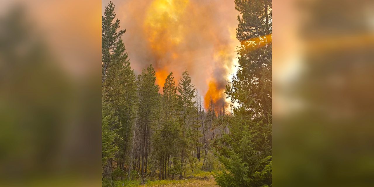 Young Creek Wildfire now classified ‘under control’