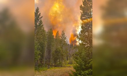 Young Creek Wildfire now classified ‘under control’