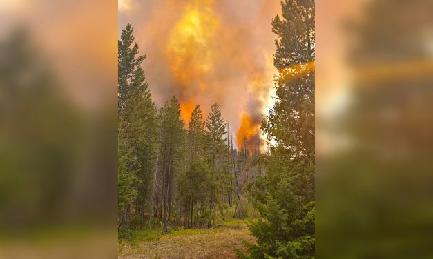 Young Creek Wildfire now classified ‘under control’