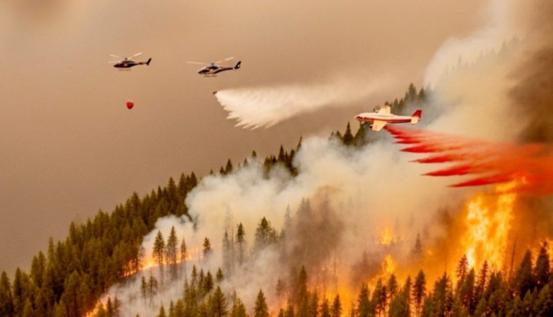 BC Wildfire Service warns on AI and social media