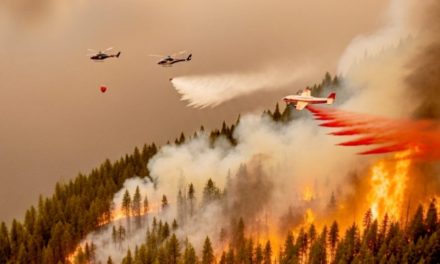 BC Wildfire Service warns on AI and social media