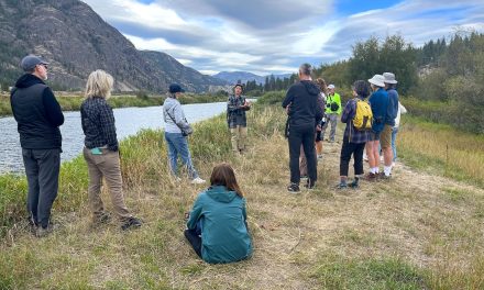 Annual Bird Migration Day open house at Vaseux