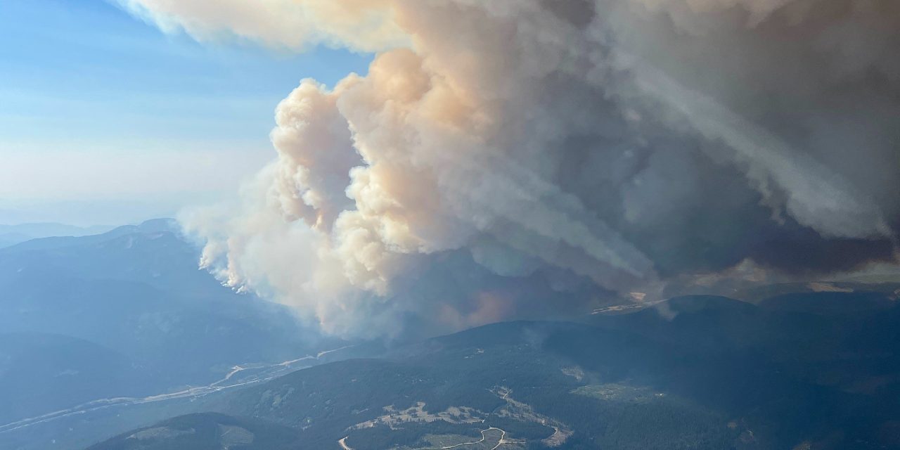 Canada’s 2023 wildfire season linked to worldwide deaths