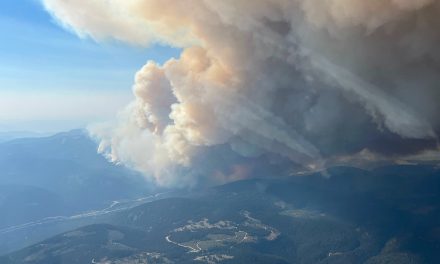 Canada’s 2023 wildfire season linked to worldwide deaths