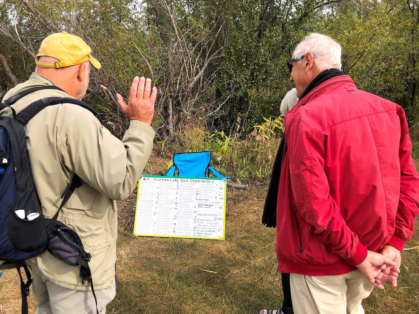 OSCA - Vaseux Lake Bird Observatory - Bird Migration Day