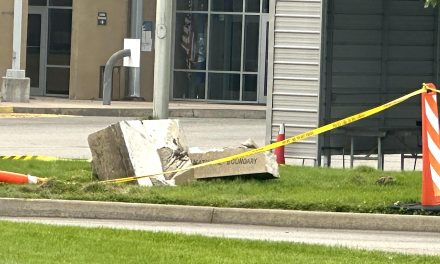 Drunk driver crashes border, destroys monuments