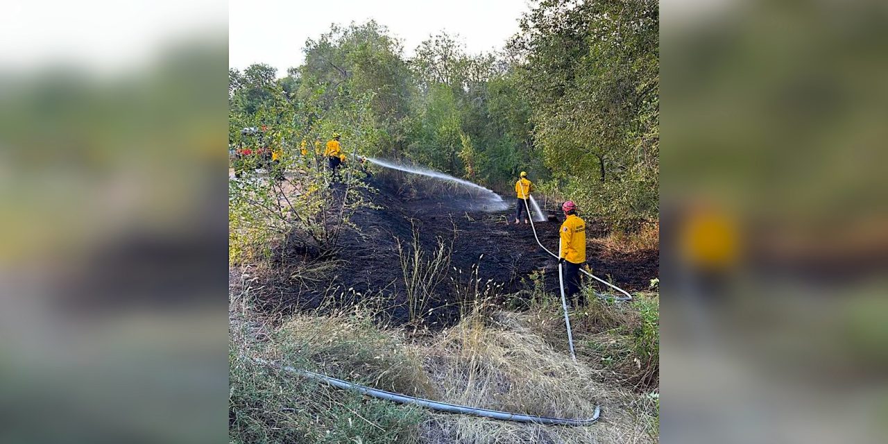 OFD responds to Hike and Bike brush fire