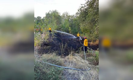 OFD responds to Hike and Bike brush fire