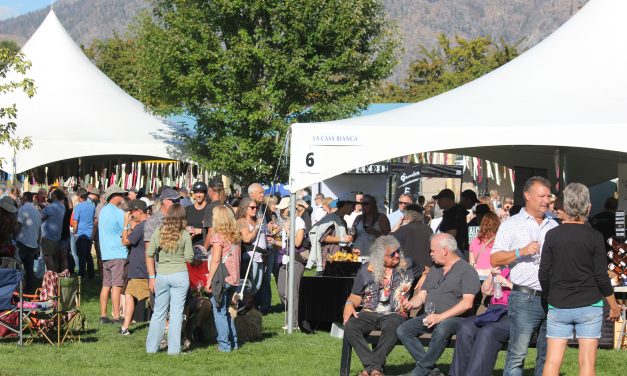 Festival of the Grape 2025
