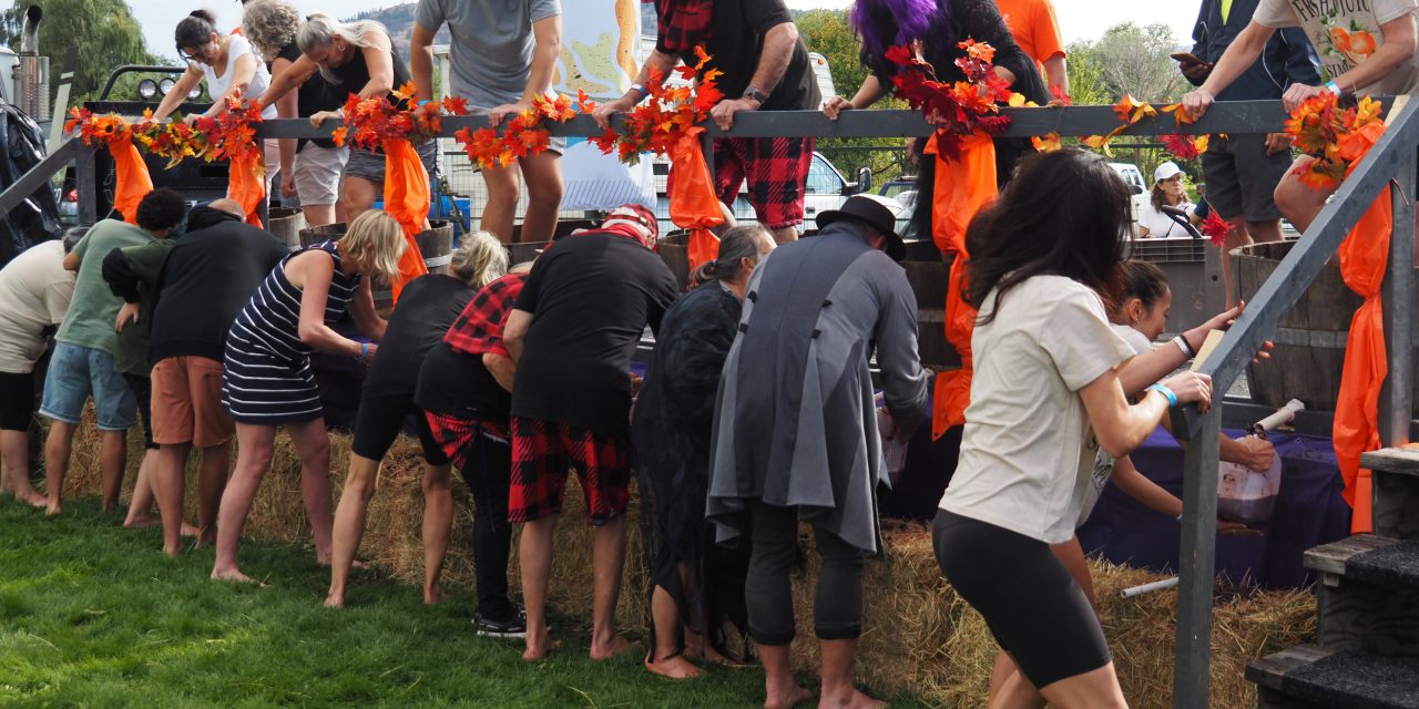 Festival of the Grape 2025