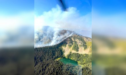 Manning fire 2km from Hwy. 3 but no danger says BCWS