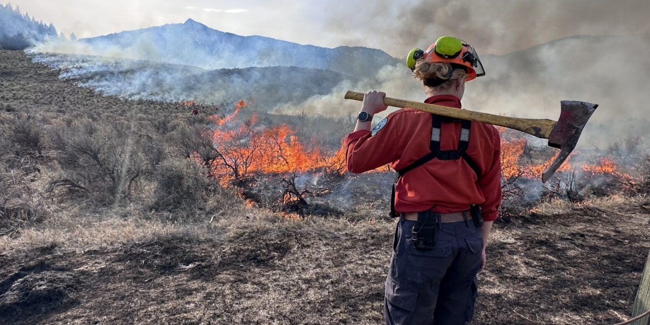 Cultural burns in Nighthawk grasslands area to begin