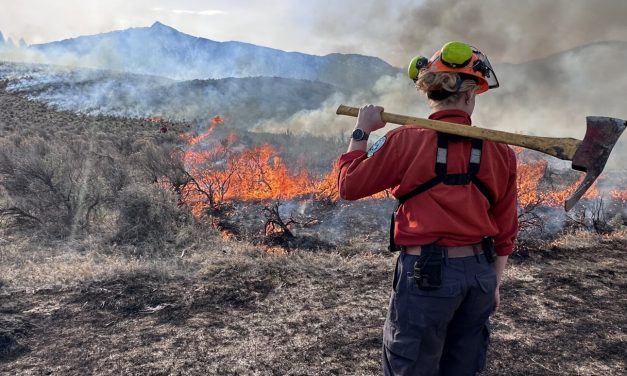 Cultural burns in Nighthawk grasslands area to begin