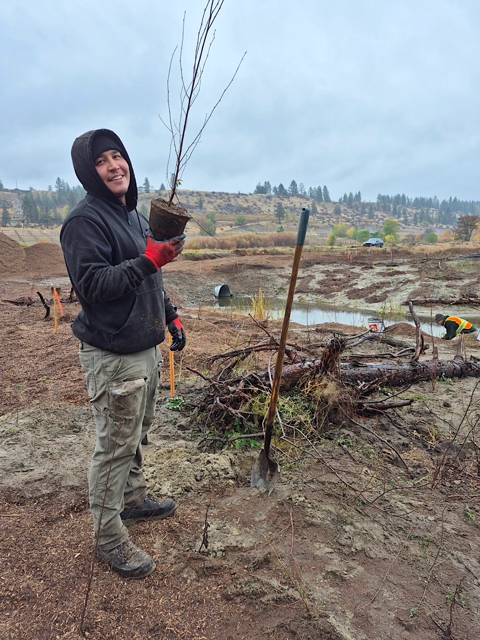 Vaseux Floodplain Re-engagement Project