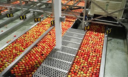 Rebirth of storied BC Tree Fruits in Oliver