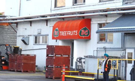 BC Tree Fruits history fully resides in Kelowna after transfer