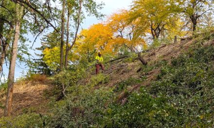 Public invited to invasive species event at Oliver park