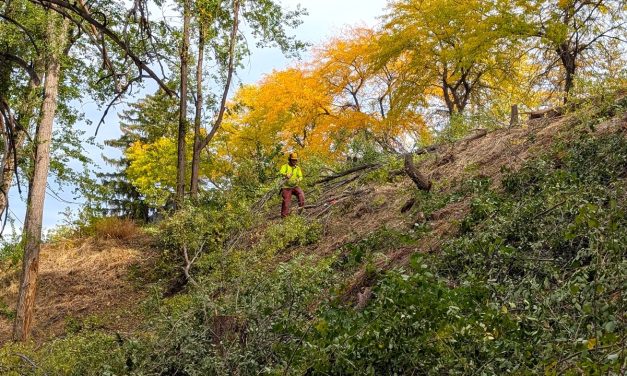 Public invited to invasive species event at Oliver park