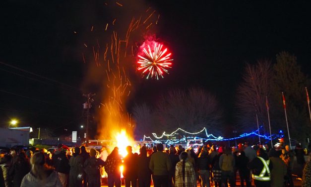 Oliver celebrates the season with Light Up 2025