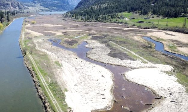 RDOS backs grant funding applications for Okanagan waterways