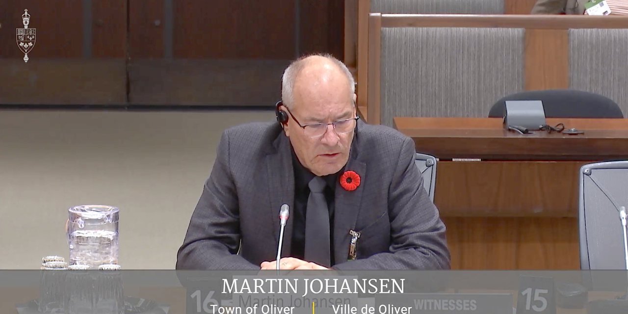 Oliver mayor testifies before parliamentary health committee