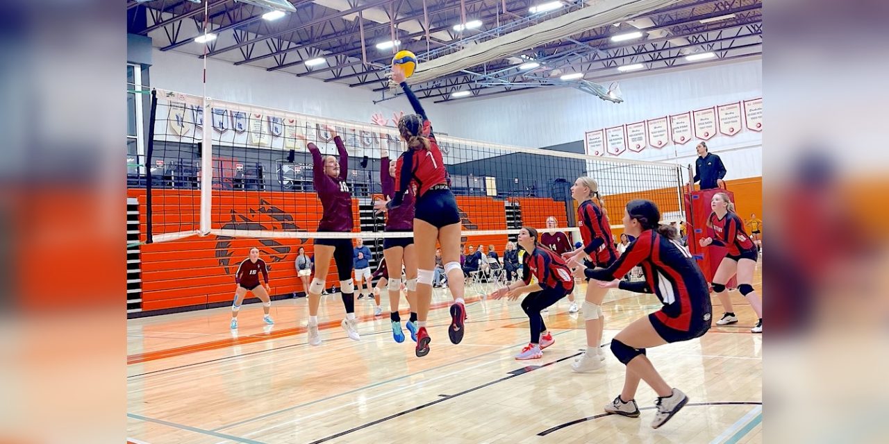 Rattlers heading to provincials, asking community’s help