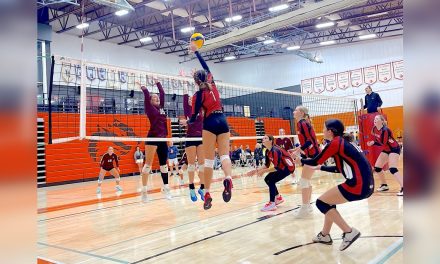 Rattlers heading to provincials, asking community’s help