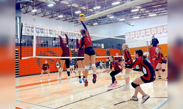 Rattlers heading to provincials, asking community’s help