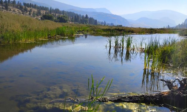 Funding shuffle approved to advance floodplain regeneration