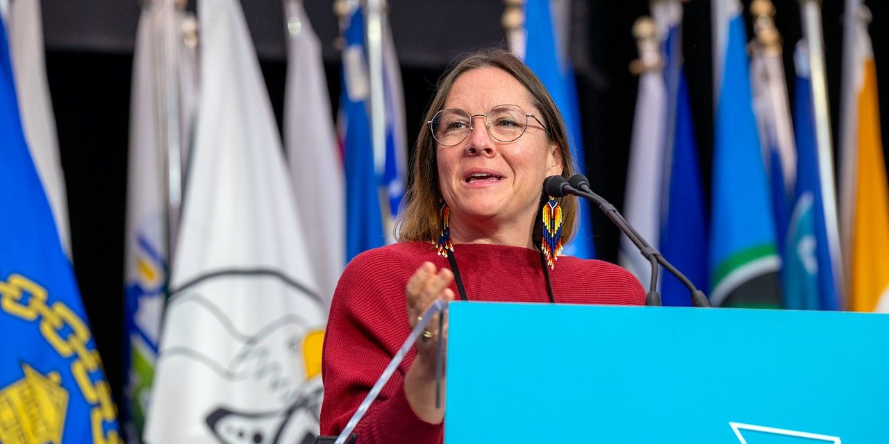 Aimee Grice eyes mayor’s chair in next municipal election