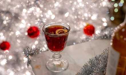 Holiday spirit: Tips for drinking in moderation this season