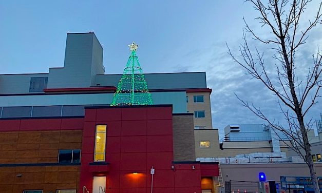 Tree of Dreams healthcare campaign kicks off