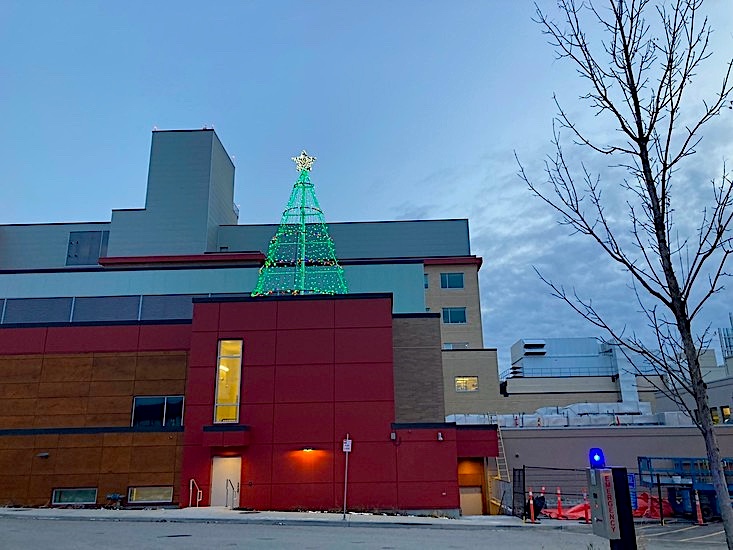 Tree of Dreams healthcare campaign kicks off