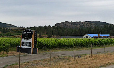 Oliver vineyard set to trailblaze with agrivoltaics
