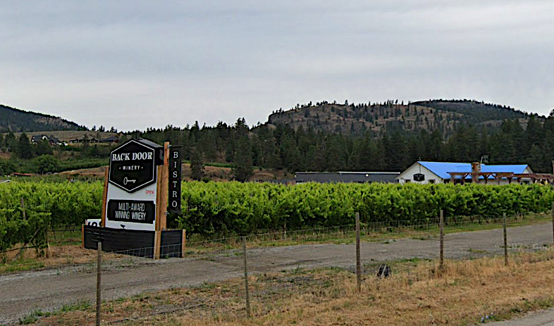 Oliver vineyard set to trailblaze with agrivoltaics