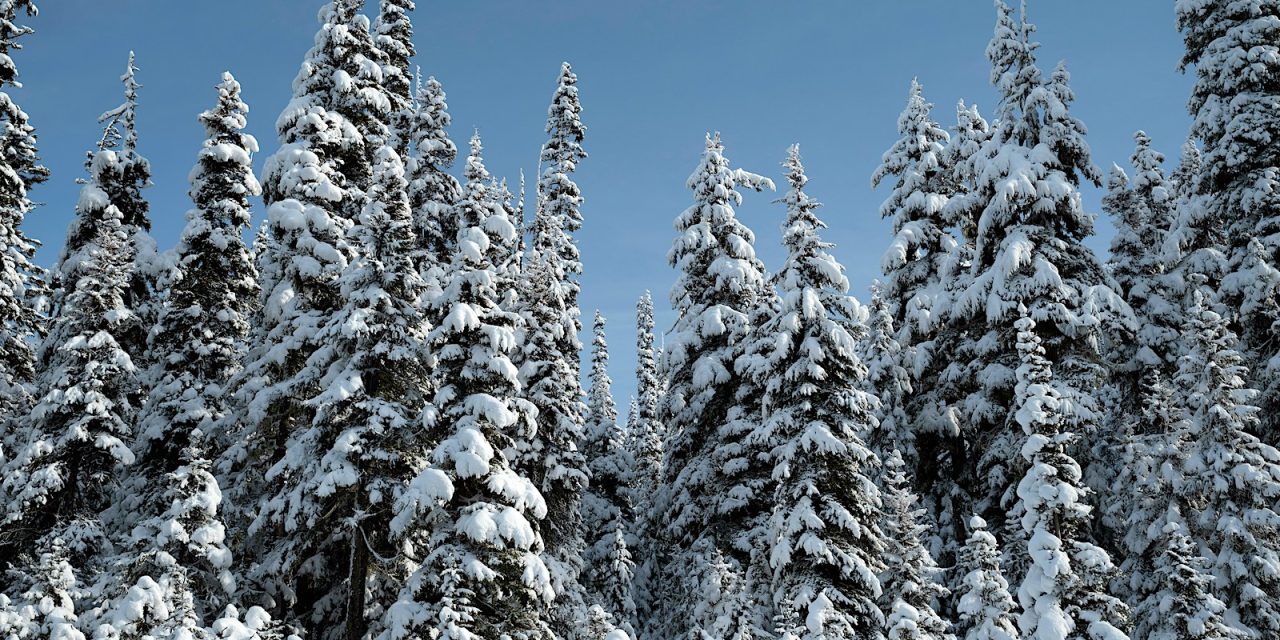 Large snowpack plus La Niña could mean spring flooding