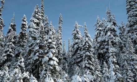 Large snowpack plus La Niña could mean spring flooding