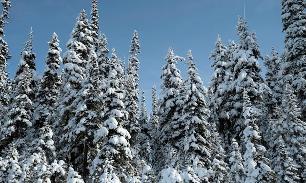 Large snowpack plus La Niña could mean spring flooding