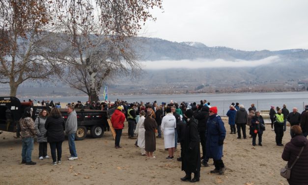 Desert Dip draws a crowd as dippers brave the cold