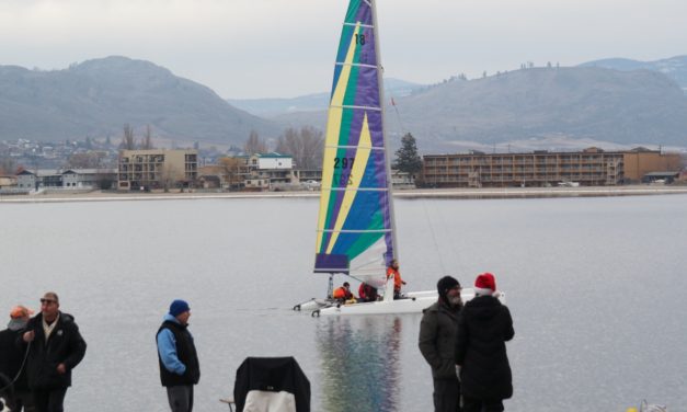 Desert Dip draws a crowd as dippers brave the cold